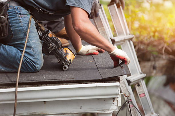 Best Storm Damage Roof Repair  in Jackson, TN