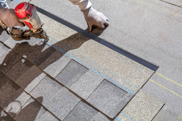 Roof Waterproofing Services in Jackson, TN